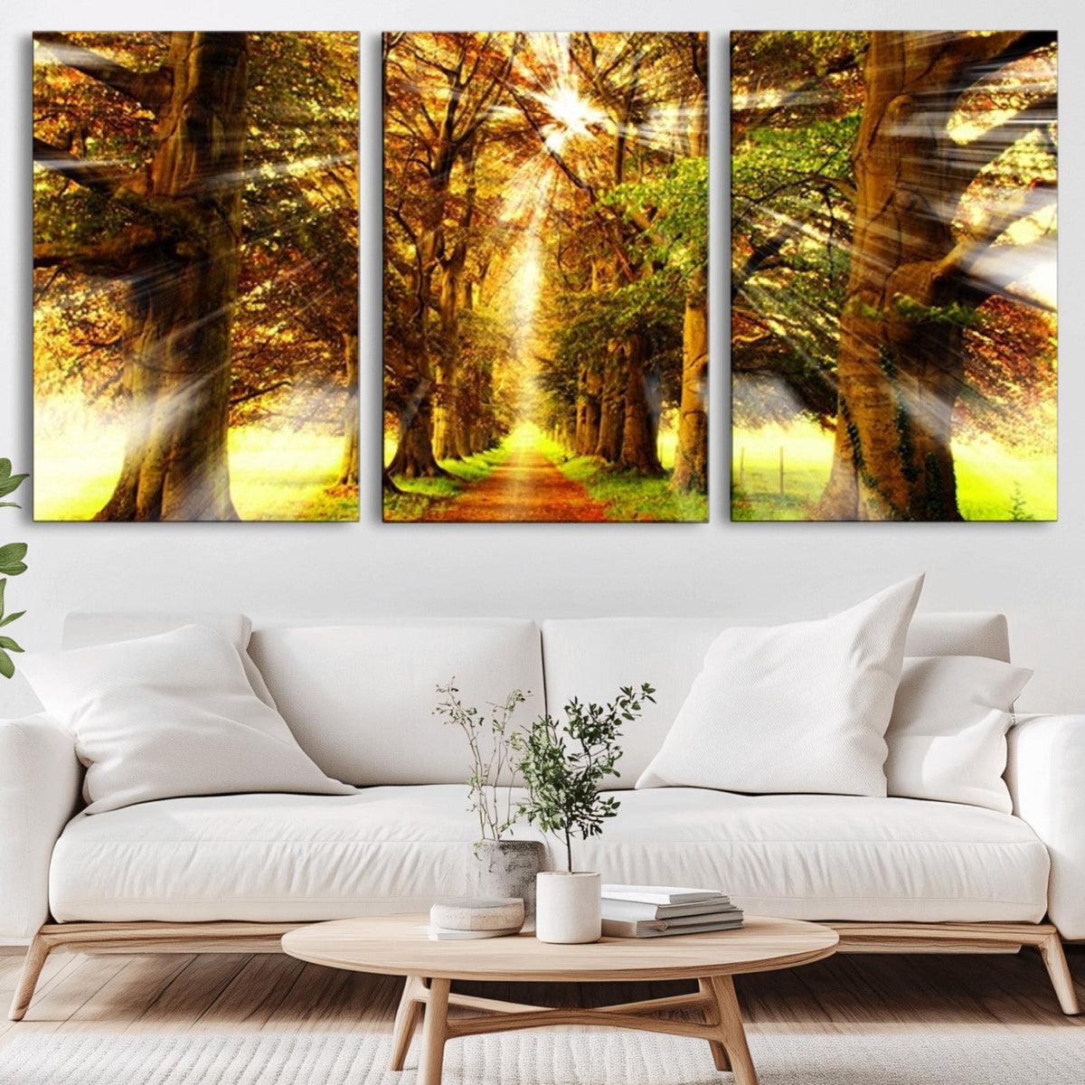 Sunshine in Forest and Trees Wall Art Canvas Print
