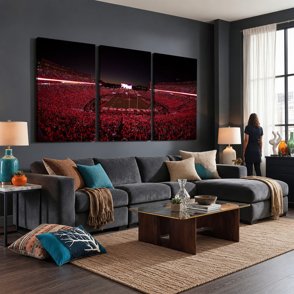 Dooley Stadium Wall Art, Sports Arena Canvas Print, Dooley Field Sanford Stadium