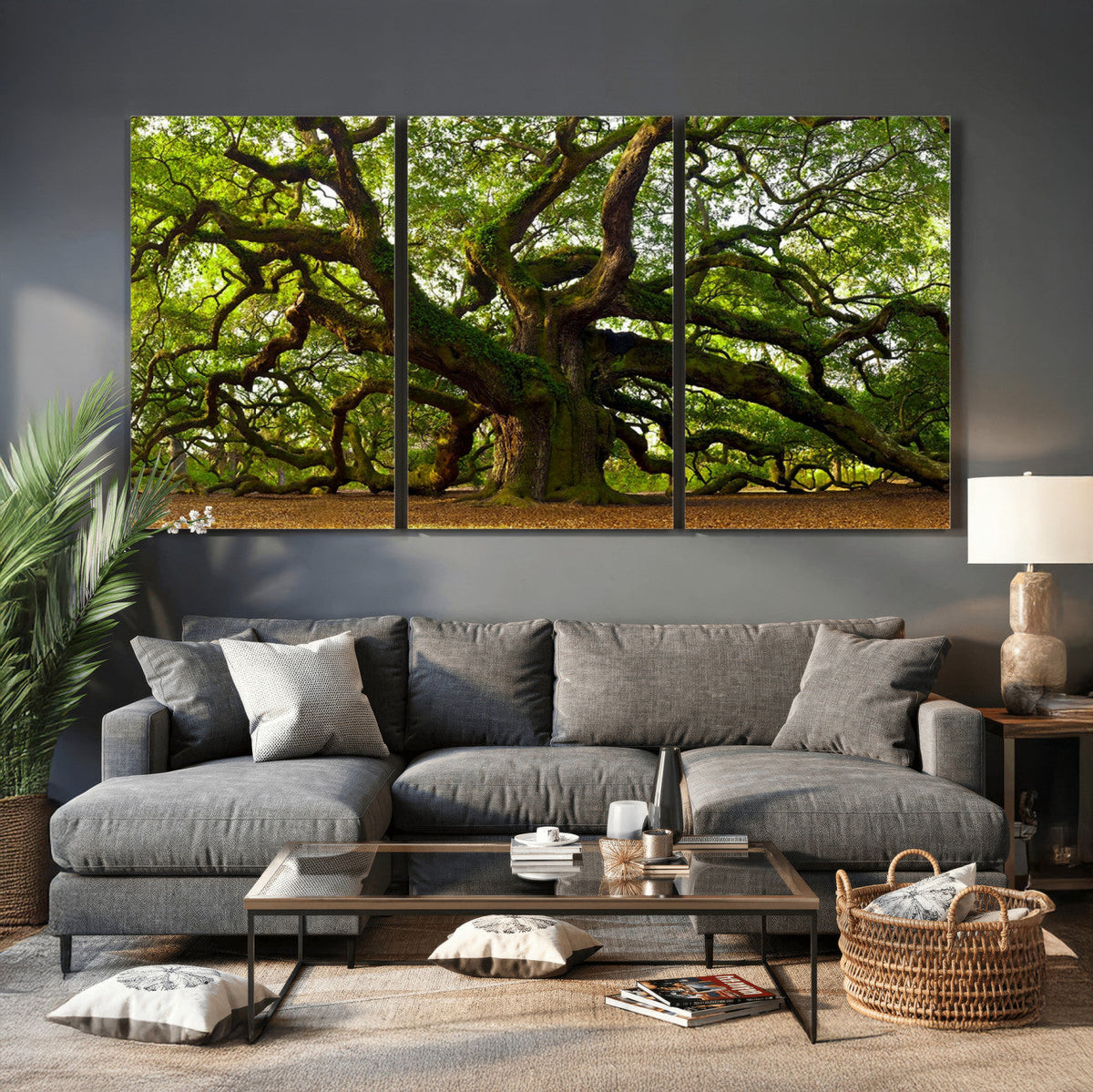 Angel Oak Tree Wall Art Canvas Print | Forest Tree Nature Photography Print