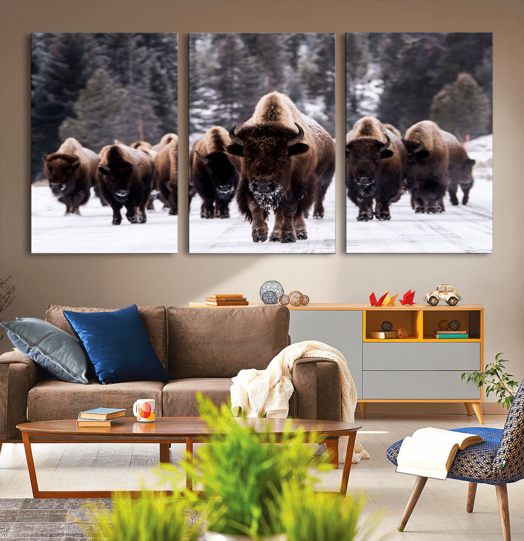 Bison Wall Art Canvas Print, Bison Herd Canvas Wall Art