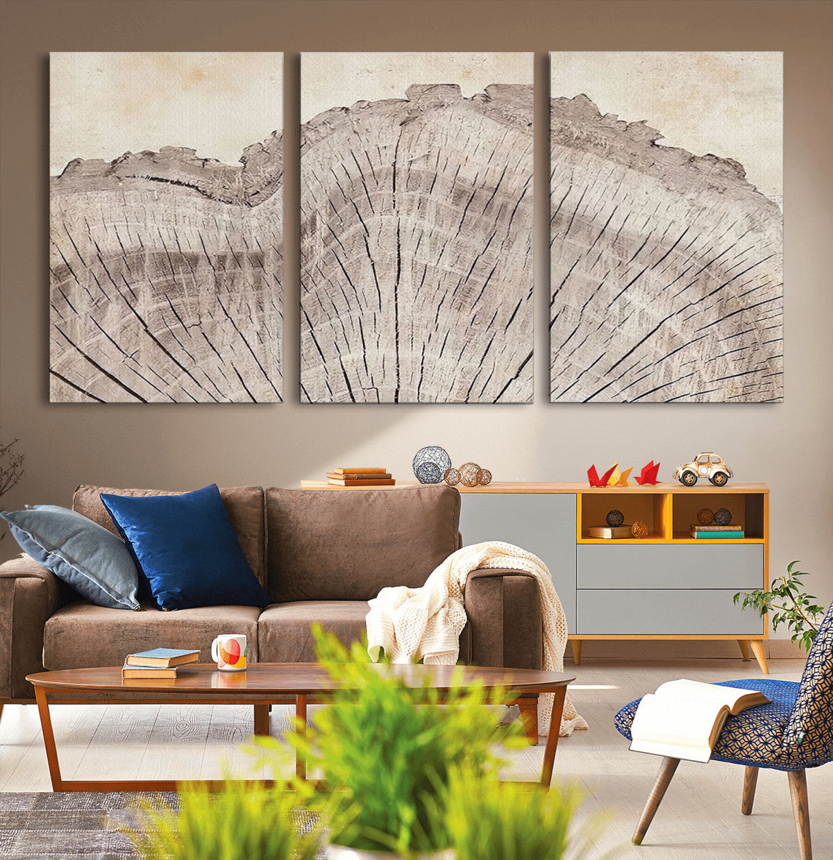 Tree Ring Wall Art Triptych, Rustic Wood Ring Canvas Print