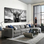 Scottish Cow Wall Art Canvas Print, Longhorn Wall Art