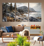 Serene Coastal View of Acadia National Park