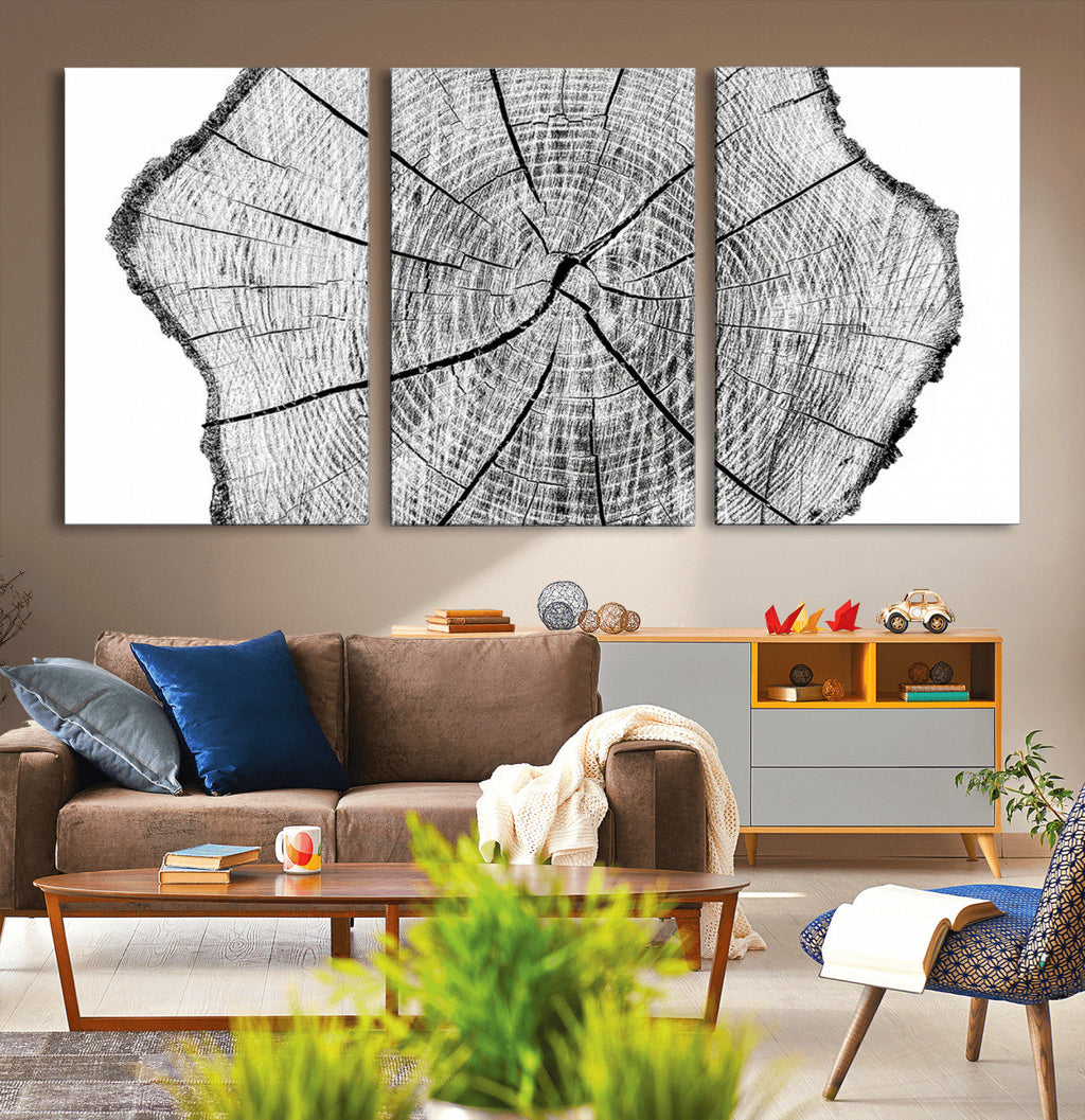 Rustic Tree Ring Wall Art Canvas Print, Framed and Ready to Hang
