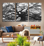 Ancient Oak Wall Art Canvas Print | Gnarled Tree with Twisted Branches