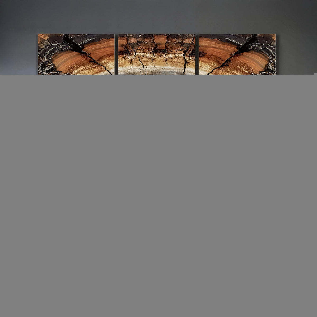 Tree Rings Wall Art Canvas Print, Rustic Wood Grain