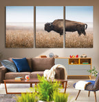 Wild Bison Wall Art | Framed Prairie Landscape Canvas