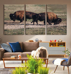 Bison Wall Art Canvas Print, Framed Western Wildlife Modern Ranch