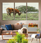 Texas Longhorn Wall Art Canvas Print, Rustic Western Ranch