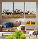Elk Herd Wall Art Canvas Print, Framed Wildlife Photography Art, Majestic Antlers Rustic Wildlife Decor