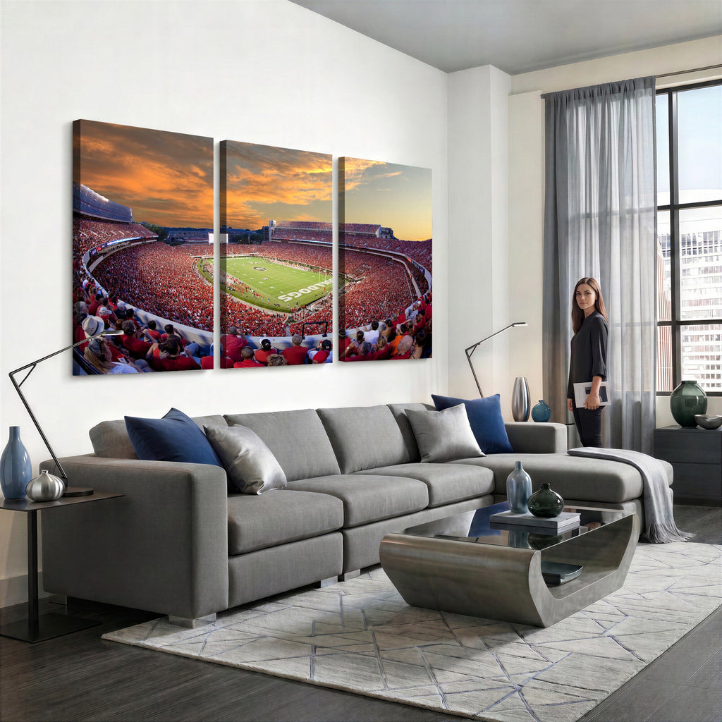 Dooley Stadium Wall Art, Sports Arena Canvas Print, Dooley Field, Framed and Ready to Hang