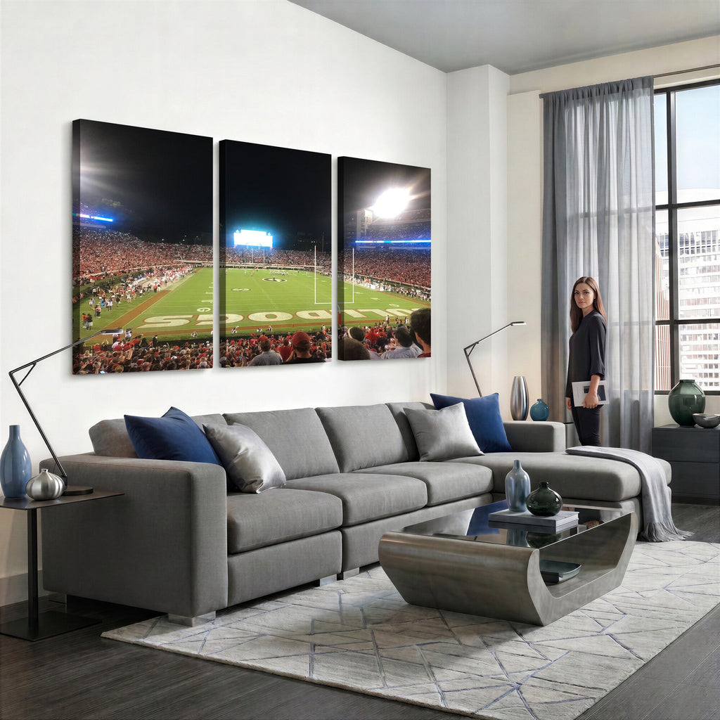 Dooley Stadium Wall Art, Sports Arena Panoramic Canvas
