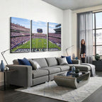TCU Horned Frogs Football Team Print, Fort Worth Amon G. Carter Stadium, Framed and Ready to Hang