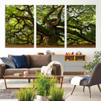 Angel Oak Tree Wall Art Canvas Print | Forest Tree Nature Photography Print