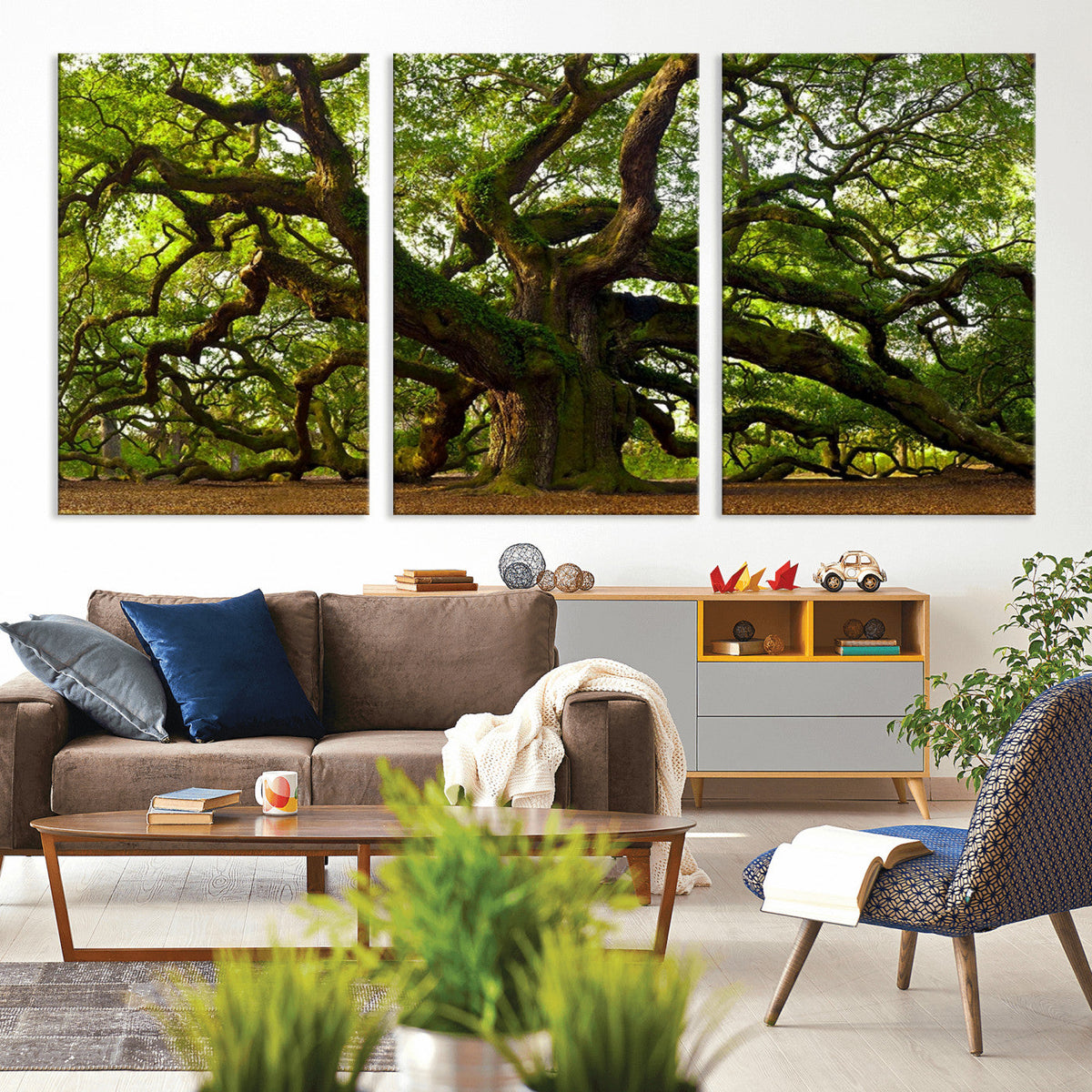 Angel Oak Tree Wall Art Canvas Print | Forest Tree Nature Photography Print