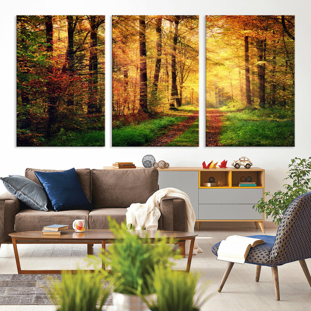Sunlight Through Trees Wall Art Canvas Print | Autumn Forest Wall Art