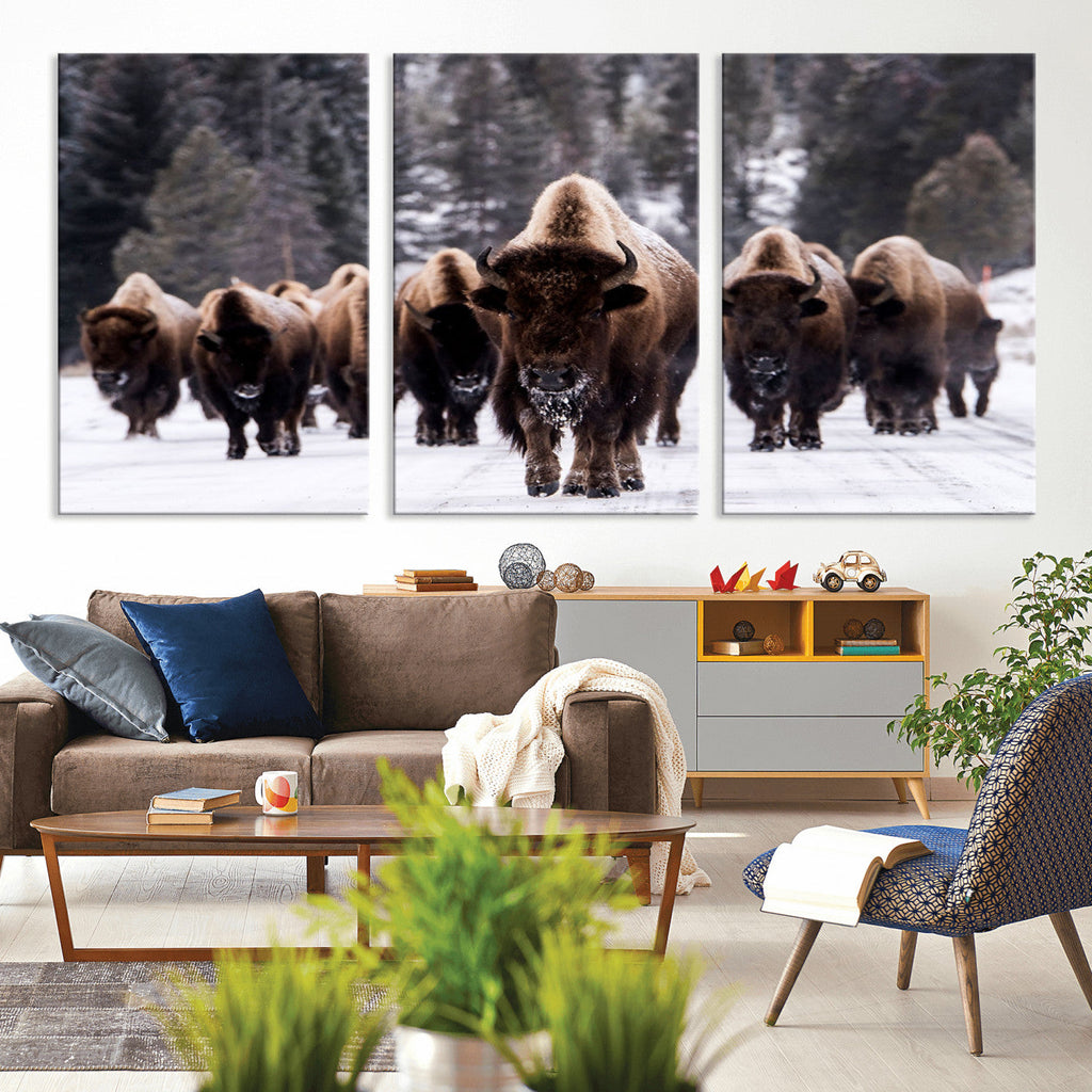Bison Wall Art Canvas Print, Bison Herd Canvas Wall Art