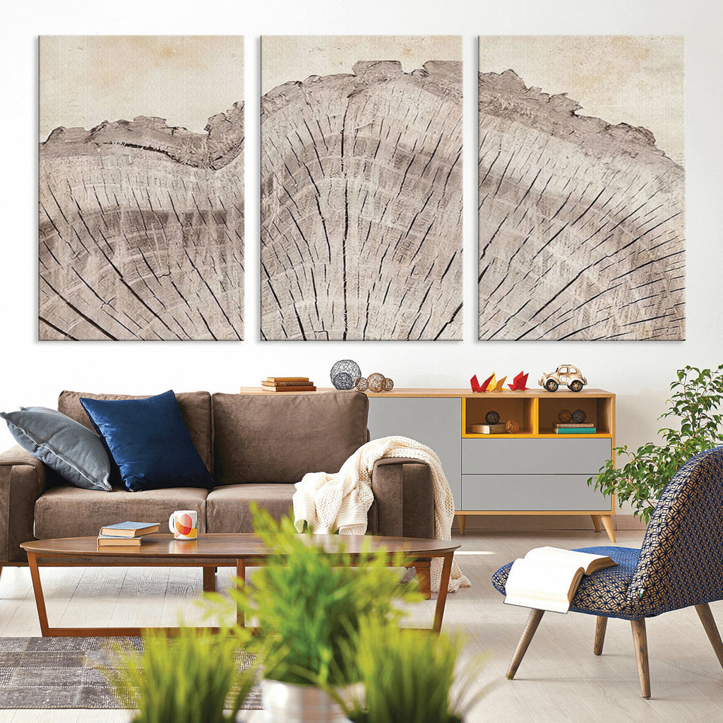 Tree Ring Wall Art Triptych, Rustic Wood Ring Canvas Print