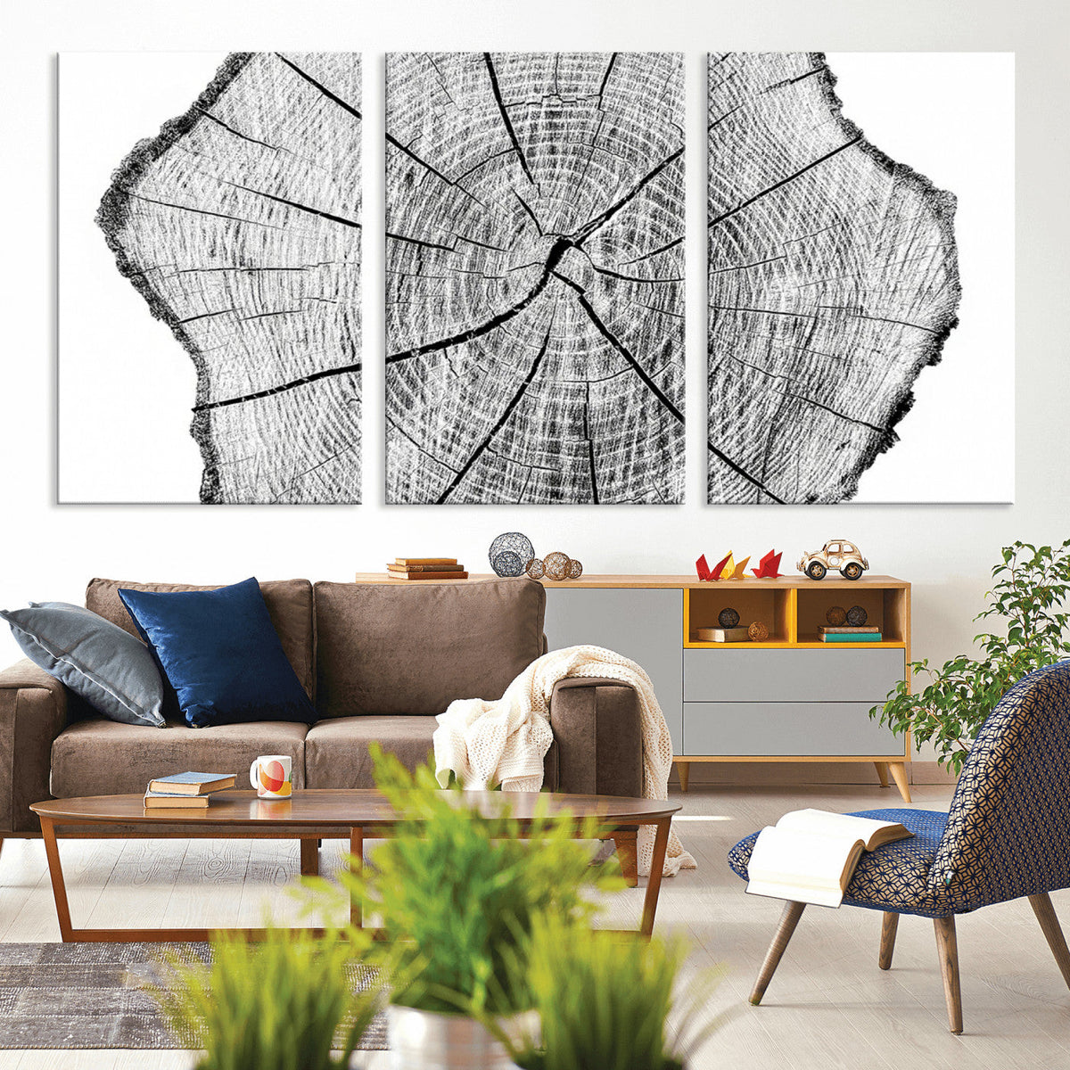 Rustic Tree Ring Wall Art Canvas Print, Framed and Ready to Hang