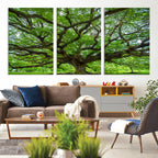 Ancient Tree Wall Art Canvas Print, Framed Sprawling Branches