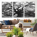 Ancient Oak Wall Art Canvas Print | Gnarled Tree with Twisted Branches