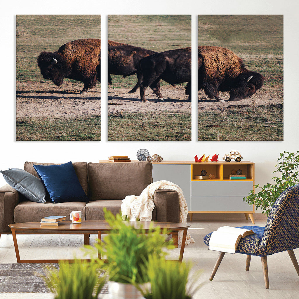 Bison Wall Art Canvas Print, Framed Western Wildlife Modern Ranch
