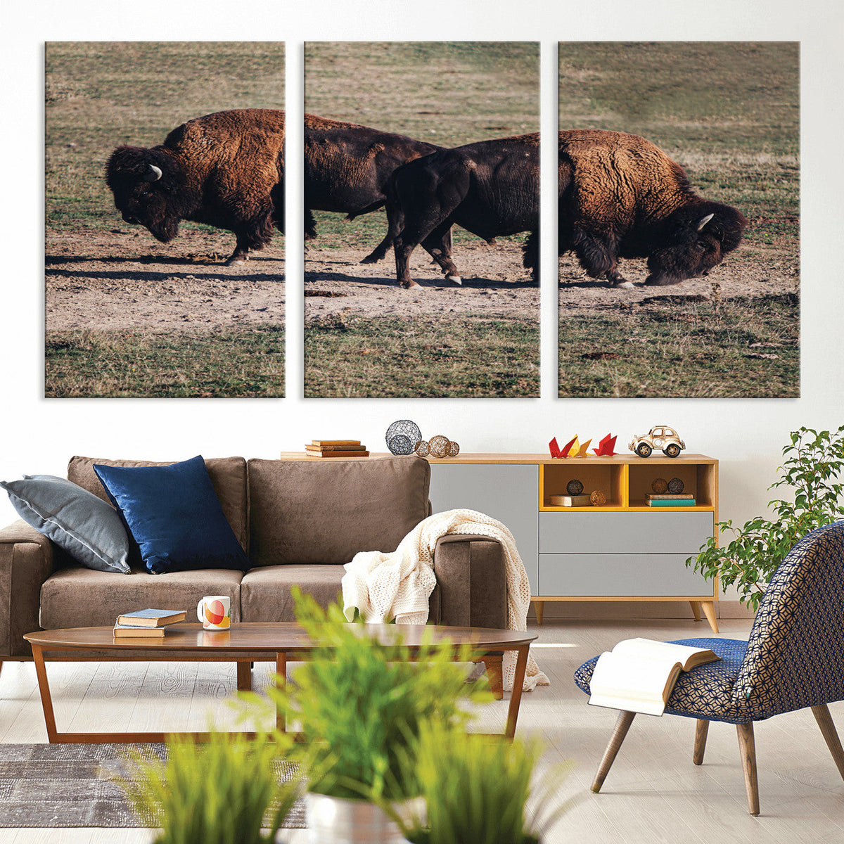 Bison Wall Art Canvas Print, Framed Western Wildlife Modern Ranch