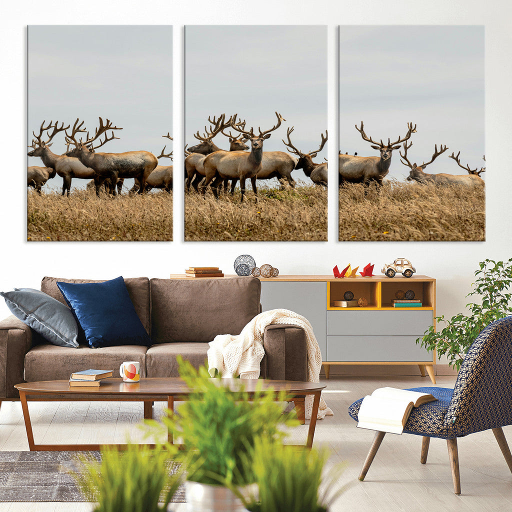 Elk Herd Wall Art Canvas Print, Framed Wildlife Photography Art, Majestic Antlers Rustic Wildlife Decor