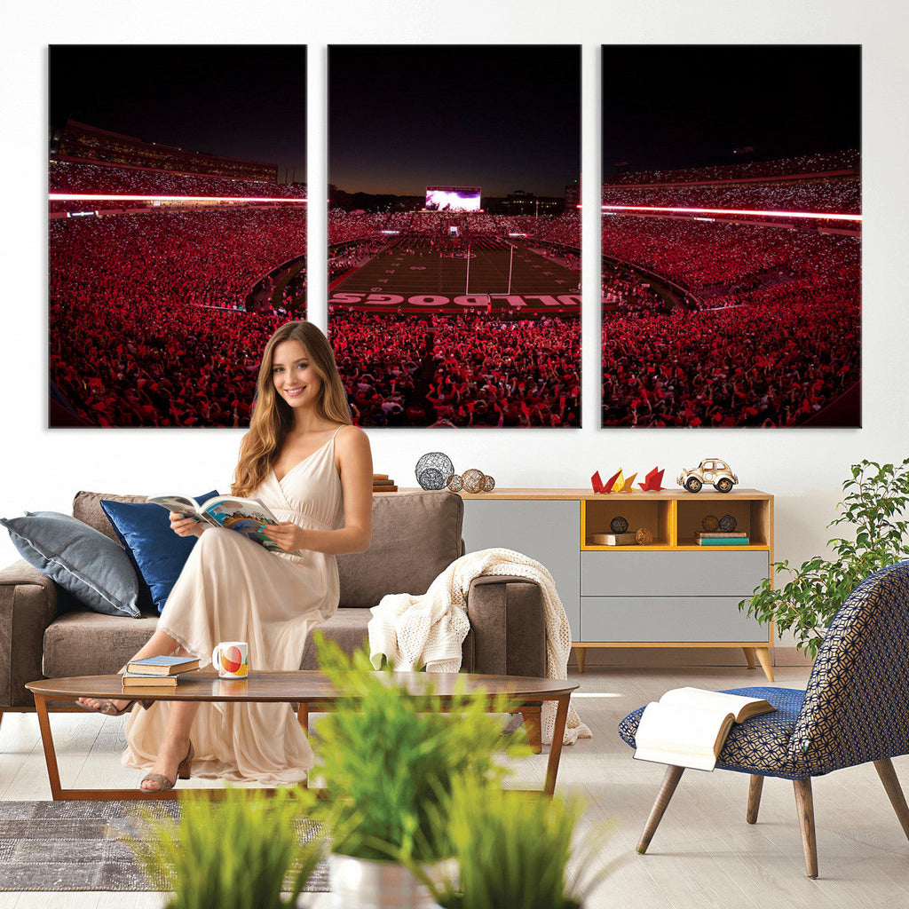 Dooley Stadium Wall Art, Sports Arena Canvas Print, Dooley Field Sanford Stadium