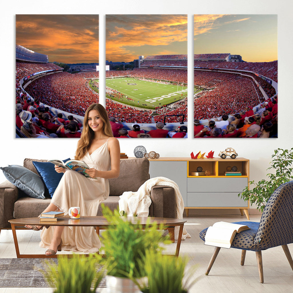 Dooley Stadium Wall Art, Sports Arena Canvas Print, Dooley Field, Framed and Ready to Hang
