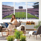 TCU Horned Frogs Football Team Print, Fort Worth Amon G. Carter Stadium, Framed and Ready to Hang