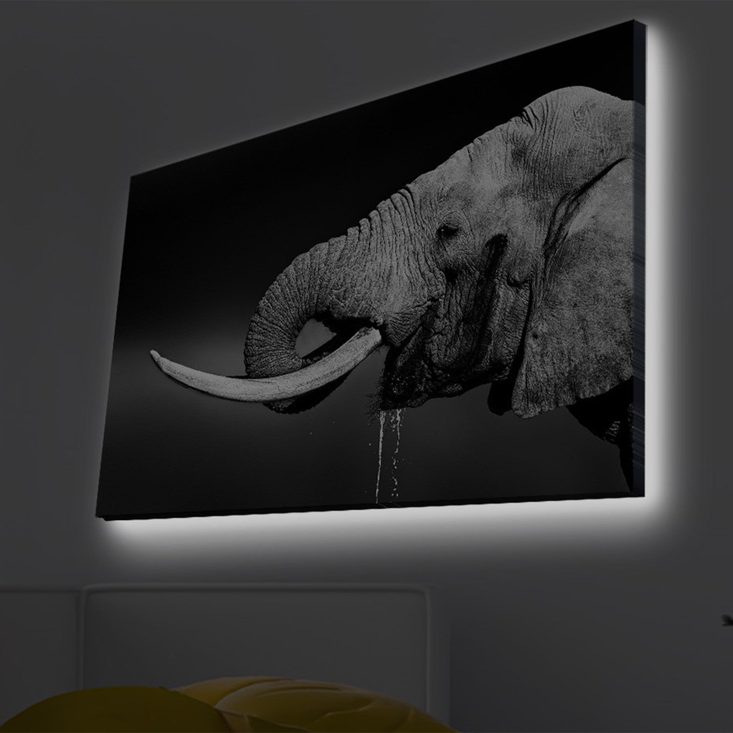 Elephant Takes A Drink