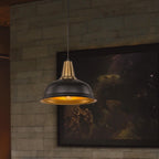 Pendant + Hanging Lamp // v.6