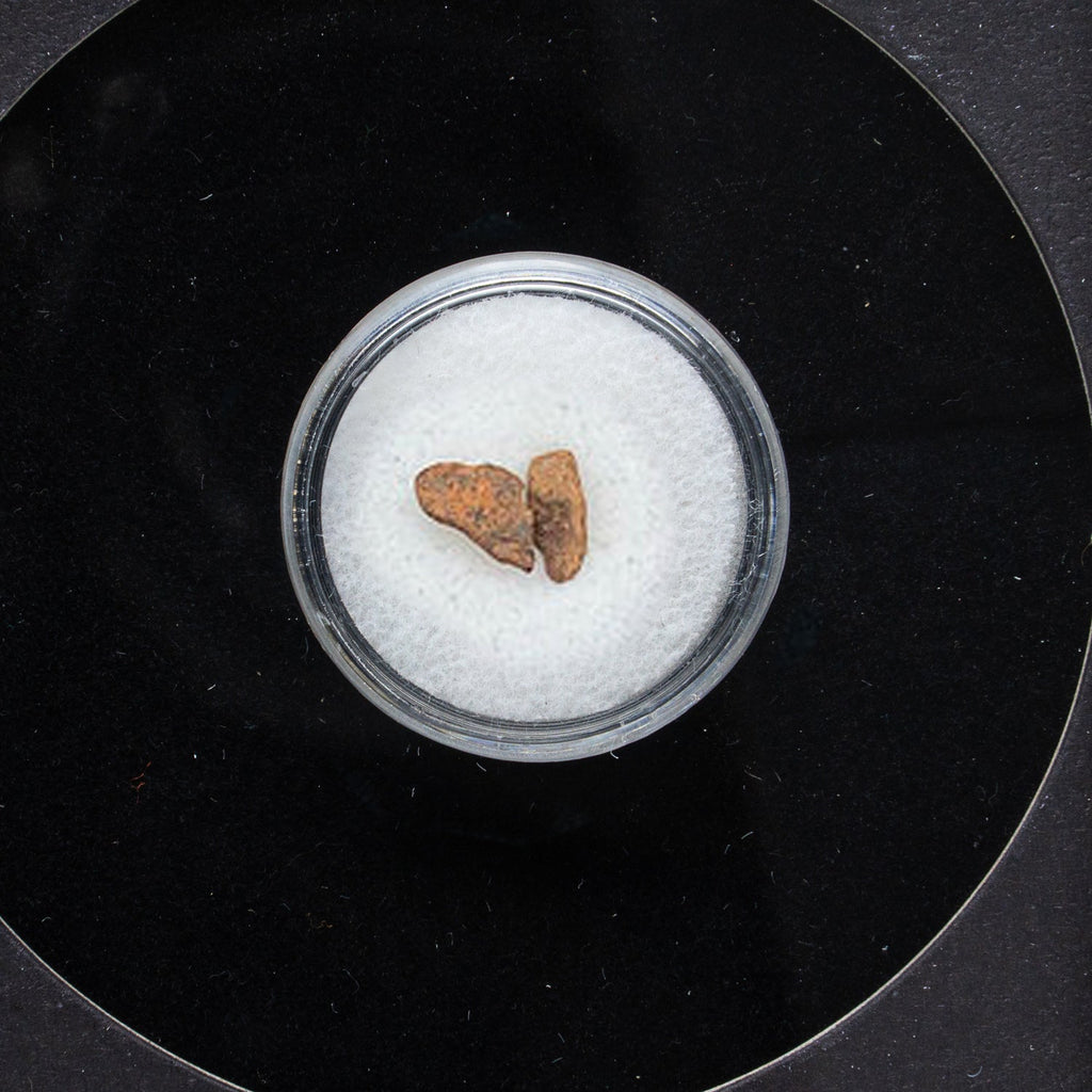 Genuine Agoudal Meteorite in Display Box