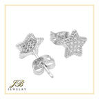Star 14K Gold Filled Silver Earrings Cubic Zirconia Hip Hop Studs Jewelry Men Women