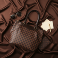 Louis Vuitton Westminster GM · Damier Ebene