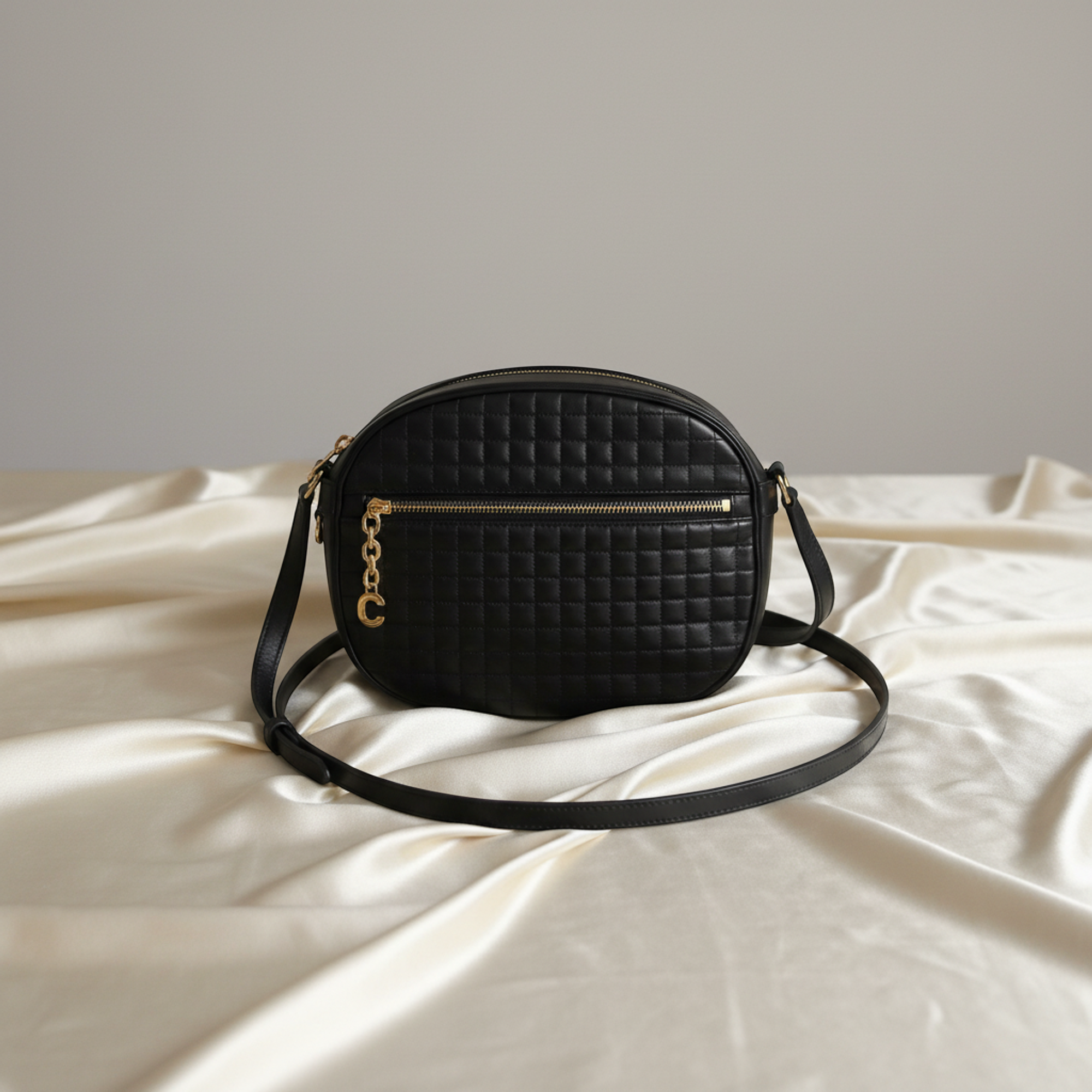 Celine Medium Camera · Calfskin