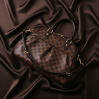Louis Vuitton Damier Trevi PM · Ebene