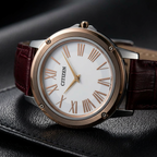 Citizen Eco Drive · Solar · Steel