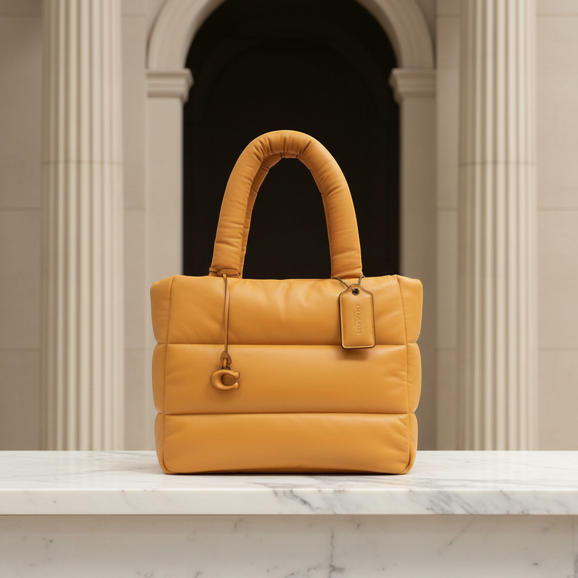 Coach Pillow Tote · Leather