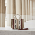 Chloé Woody Mini · Canvas & Leather