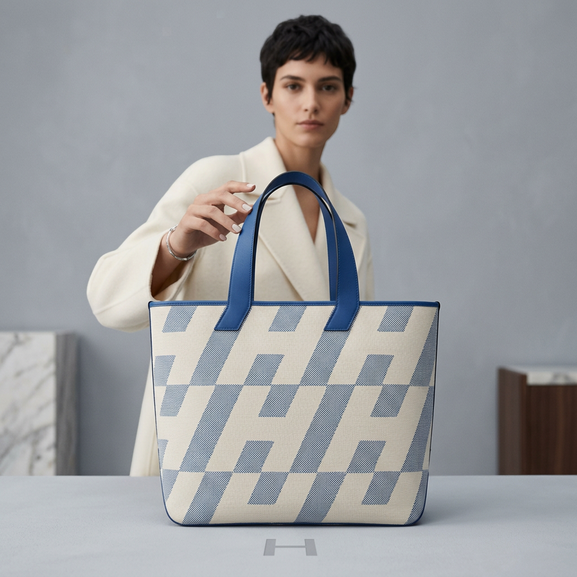 Hermès Ambie GM · Toile H & Swift Leather