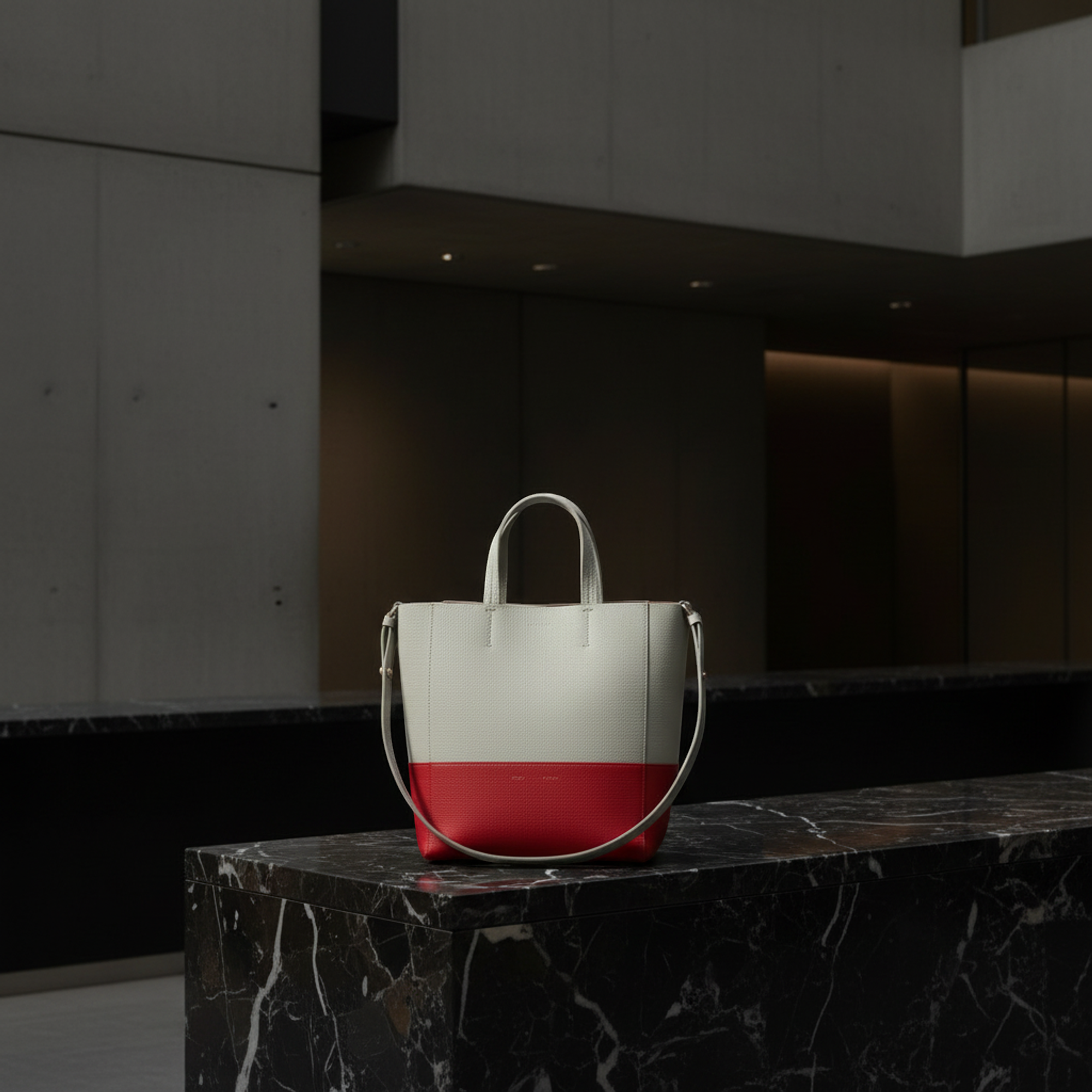Celine Cabas Vertical · Bicolor Leather