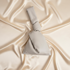 Bottega Veneta Twist · Leather Handbag