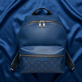 Louis Vuitton Taigarama Discovery Backpack