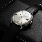 Omega Seamaster Cosmic · Steel · Automatic