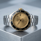 Omega Seamaster Professional · Steel & 18K Gold