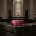 Gucci Logo Print · Leather Belt Bag
