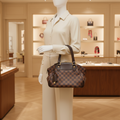 Louis Vuitton Verona PM · Damier Ebene
