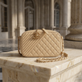 Chanel Cocoboy Camera Bag · Lambskin